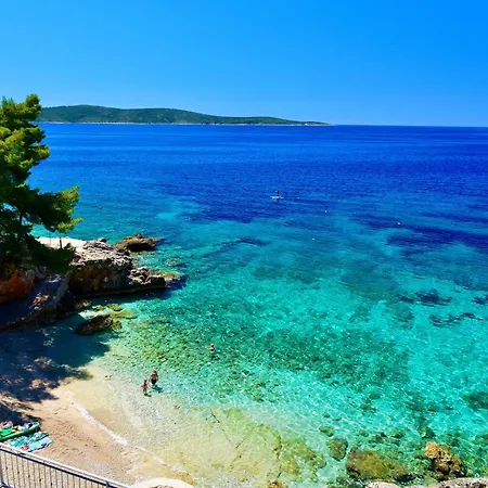 Petarcica