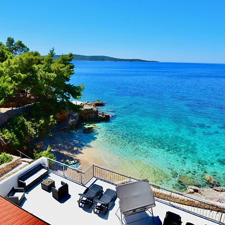 Petarcica * ザヴァラ