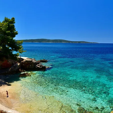 Petarcica * ザヴァラ